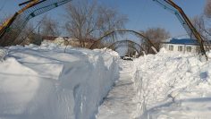 WhatsApp Image 2026-03-17 at 15.18.47