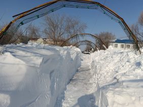 WhatsApp Image 2026-03-17 at 15.18.47